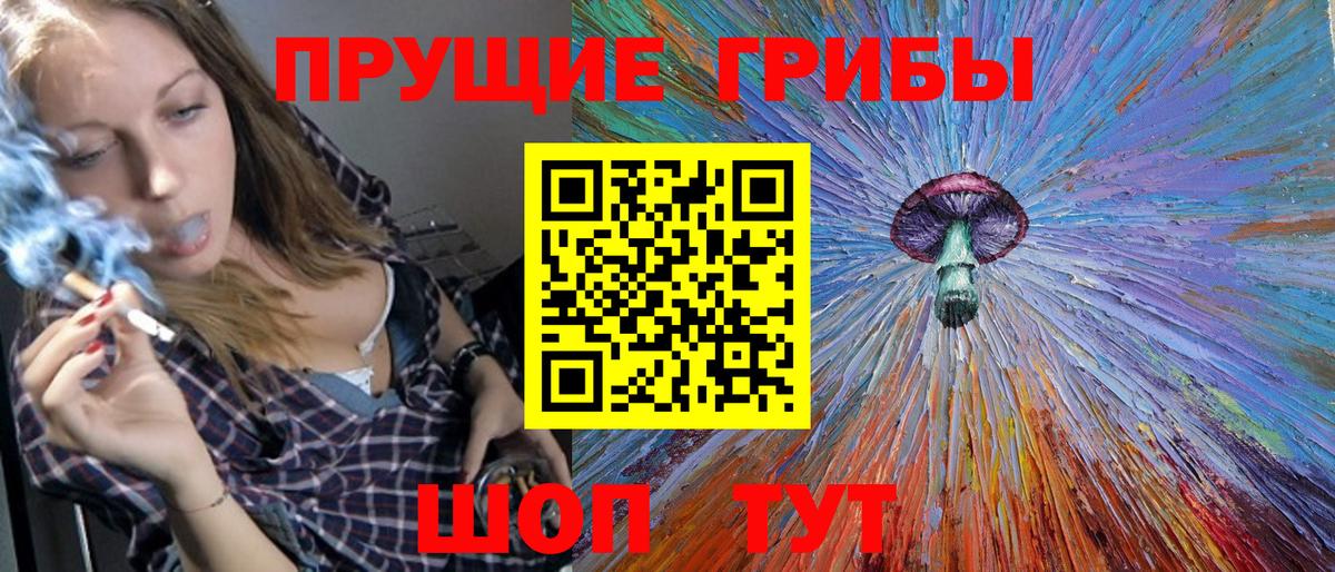 Сунжа  Галлюциногенные грибы MAGIC MUSHROOMS  Вход с VPN  Галлюциногенные грибы Cubensis 